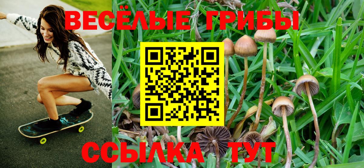 Галлюциногенные грибы Psilocybe  Вход с VPN  Орехово-Зуево 